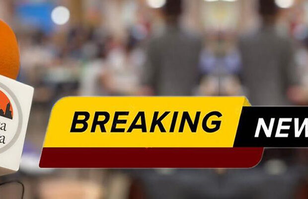 Aryan Joshi y Sriya Avasarala