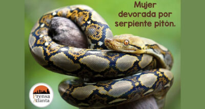 devorada por una pitón gigante en Indonesia